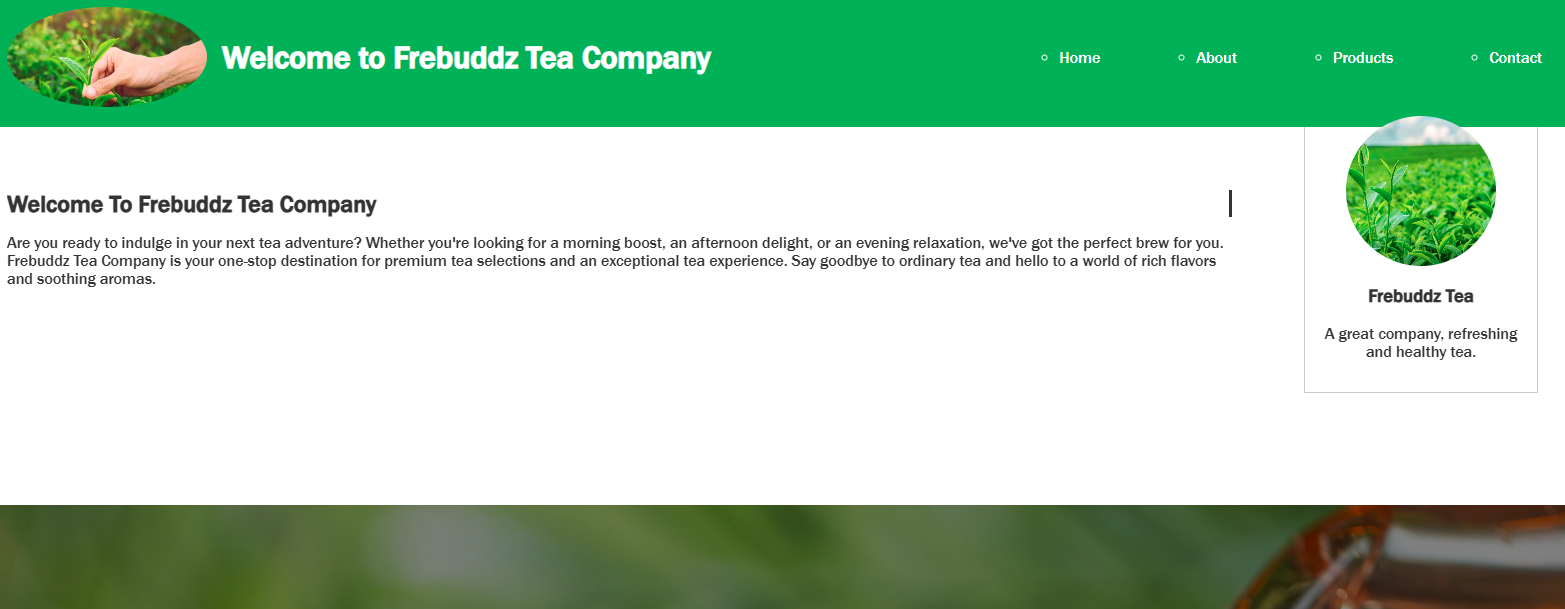Web Design Example 3
